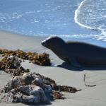 cambria2012CN_0090 (November 04, 2012)